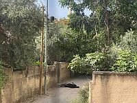 Источники в ПА сообщают о шести убитых в бою с израильскими военными в Дженине