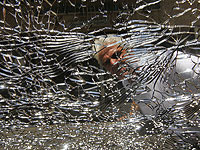 Трещины и царапины больше не страшны: в Израиле создали самовосстанавливающееся стекло