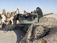 ЦАХАЛ намерен разместить вдоль северной границы скорострельные пушки для борьбы с дронами 