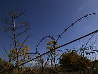 Израильтянин арестован на Кипре по подозрению в торговле греческой недвижимостью на севере острова