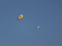 Листовки в Ливане: 