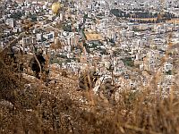 ЦАХАЛ: после обстрела террористами района Мицпе Йосеф военными были атакованы несколько боевиков