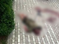 На севере Петербурга в результате нападения медведя погибла дрессировщица