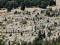 Законопроект: погибших в терактах 