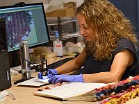 В Иудейской пустыне обнаружен древнейший фрагмент алой ткани, окрашенной кошенилью