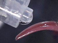 Израильские ученые разработали