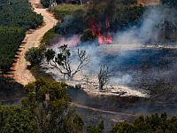 Ложная тревога в Метуле