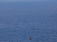 В экономических водах Израиля объявлено еще одно малое месторождение газа