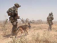 Операция ЦАХАЛа в Газе: за сутки ликвидированы десятки террористов. Видео