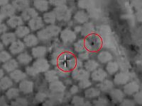 ЦАХАЛ: в южном Ливане уничтожены еще двое боевиков 