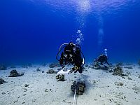 Опубликован отчет по мониторингу Эйлатского залива: экосистема в опасности