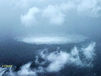 Германия выдала ордер на арест украинского дайвера по подозрению в диверсии на