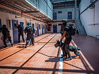 Новые клетки для