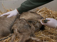 Каждый день в больницу при 