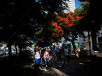 На бульваре Ротшильд в Тель-Авиве разбит палаточный лагерь 