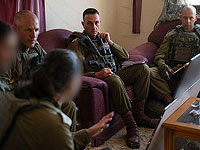 Герци А-Леви: 