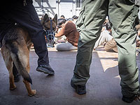 Опубликованы подробности расследования издевательств над заключенным в 