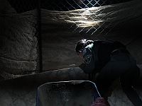 Проведен обыск в доме террориста, совершившего нападение в Иерусалиме