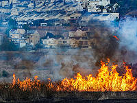 Налоговое управление: прямой ущерб северу от ракет 