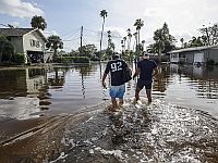 Жертвами урагана 