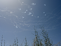 Воздушная тревога в поселках Штула и Нетуа. Запущено из Ливана не менее 10 ракет