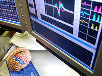 Мозг реагирует на