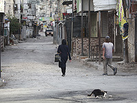 Источники в ПА: 