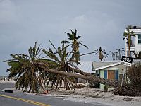 Жертвами урагана 