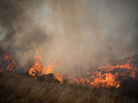 Беспилотник 