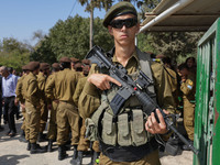 Ади Мамо-Шварц: 