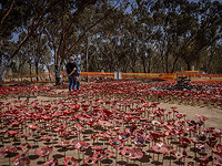 Ширель Голан, выжившая в резне на фестивале 