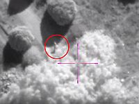 ЦАХАЛ: в Ливане уничтожен оператор БПЛА, атакованы десятки объектов