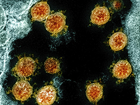 Израильские ученые разработали