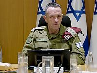 Герци А-Леви: 