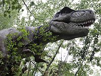 Анализ окаменевших фекалий показал, как динозавры стали править Землей