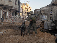 426-й день войны: операции в Ливане и Газе, Иудее и Самарии. Хронология