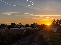 В ЦАХАЛе выясняют, был ли 