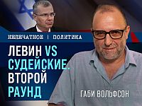 Левин vs судейские. Второй раунд. Видеокомментарий Габи Вольфсона