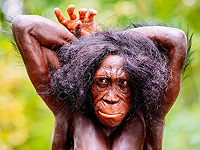 Эволюция дала человеку способность бегать на длинные дистанции,