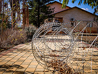 Эвакуацию жителей севера Израиля продлят до февраля