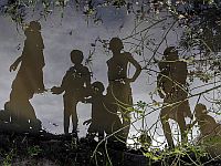 Ученые обнаружили, что 