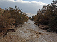 В Иудейской пустыне спасены отец и дочь, попавшие в 