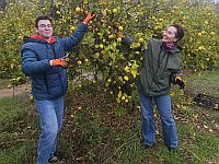 Образование для детей, волонтерство для родителей: новый проект 