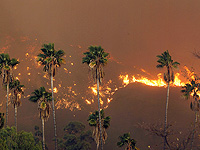 Синоптики: на этой неделе лесные пожары в южной Калифорнии могут усилиться