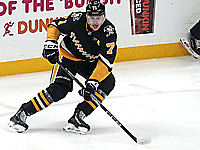 Ограбили дом известного хоккеиста Евгения Малкина