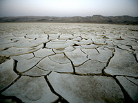 Ущерб сельскому хозяйству Израиля от непогоды достиг десятилетнего пика