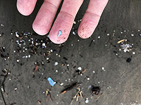 Частицы микропластика в морской среде становятся 