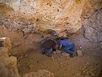 Охотники-собиратели в Леванте 10 тысяч лет назад охотились на лис и кошек ради мяса и меха