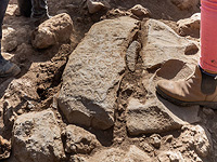 Археологи нашли 1700-летний межевой камень на месте библейского города на севере Израиля