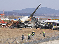 В турбинах самолета, разбившегося в Южной Корее, обнаружены птичьи перья